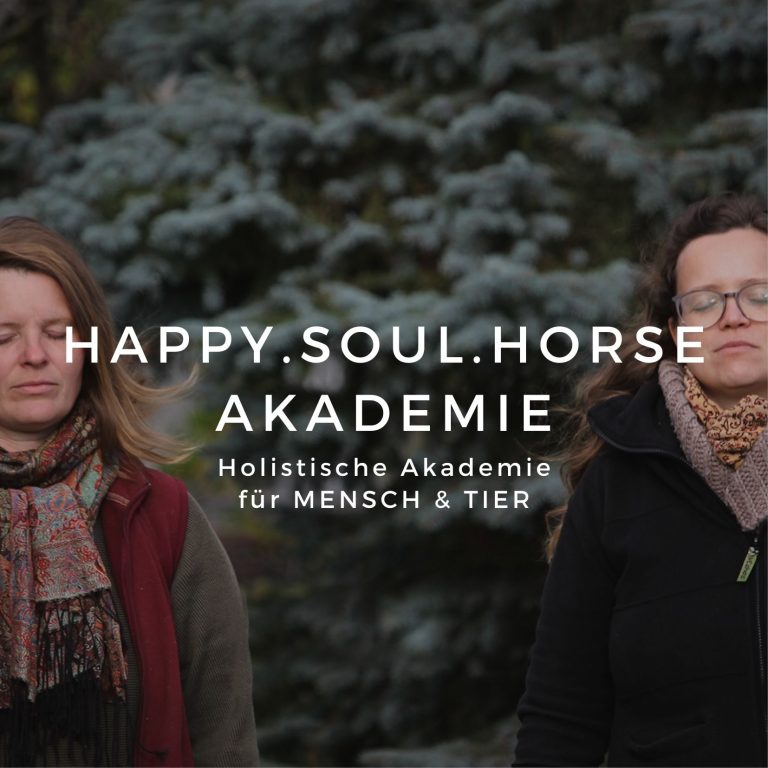 happy.soul.horse AKADEMIE - Akademie für Mensch & Tier