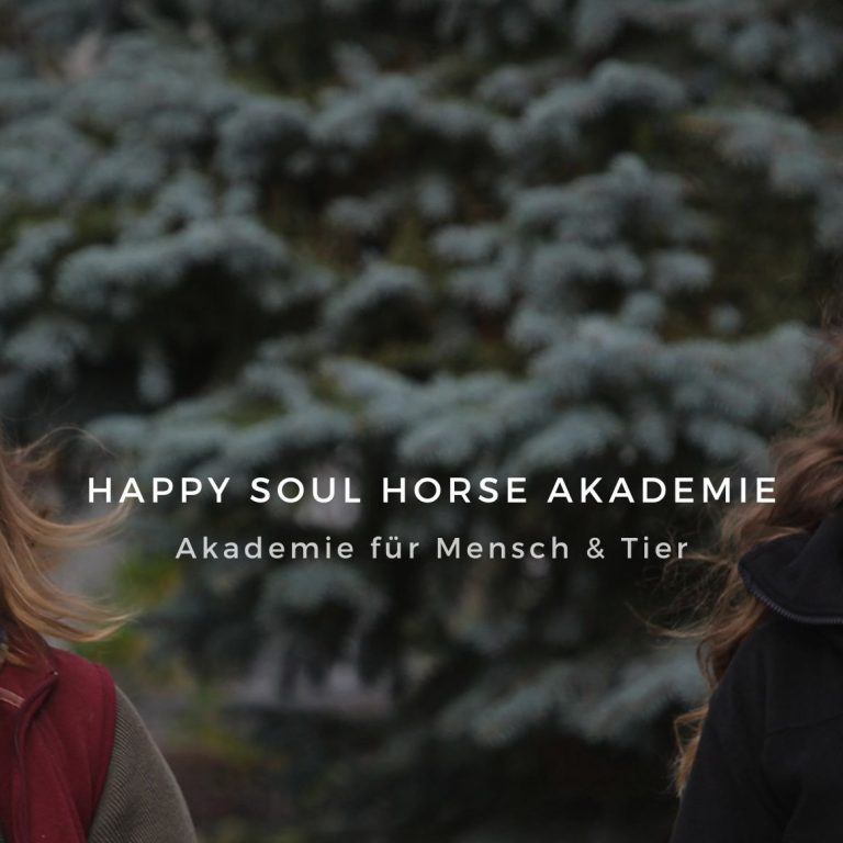 happy.soul.horse AKADEMIE - Akademie für Mensch & Tier